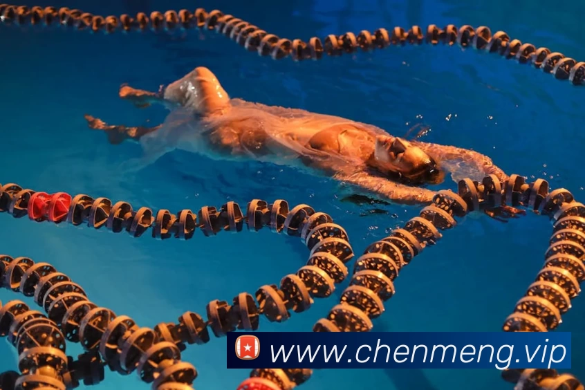 MK官方网页版 - MK(中国)服务体系